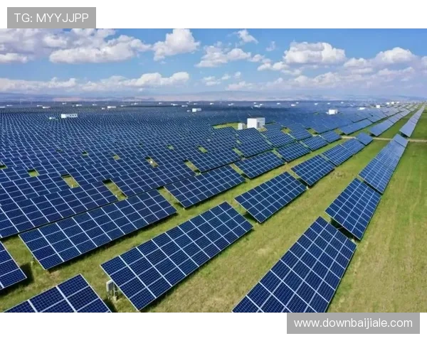 ag电投厅全面解析：如何选择最安全可靠的电投平台