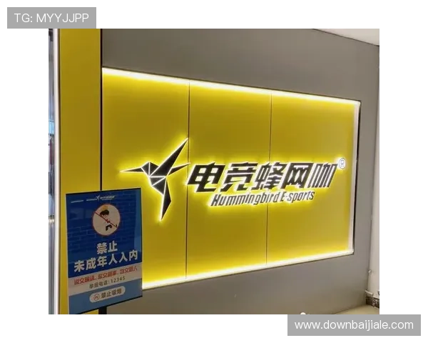 全面解析ag电竞官方下载官网入口，开启高品质电竞体验的新篇章