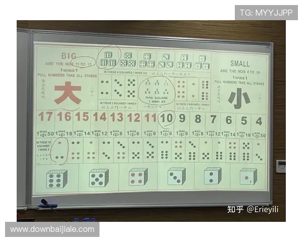 澳门赌城真人版游戏攻略详解让你轻松掌握赌场玩法技巧提升获胜几率