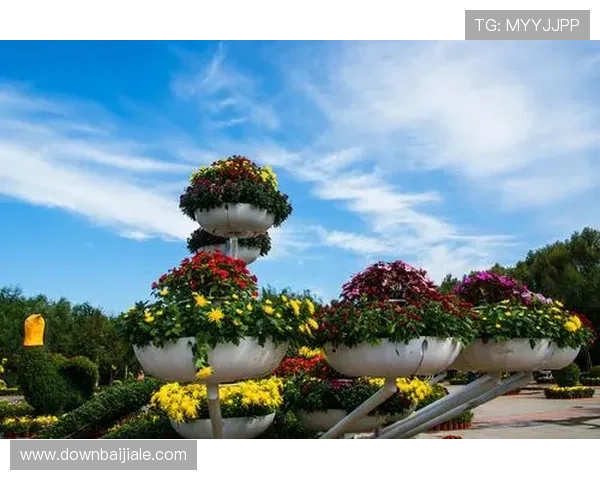 PA真人官方平台提供最真实的游戏体验让玩家尽享高品质娱乐盛宴