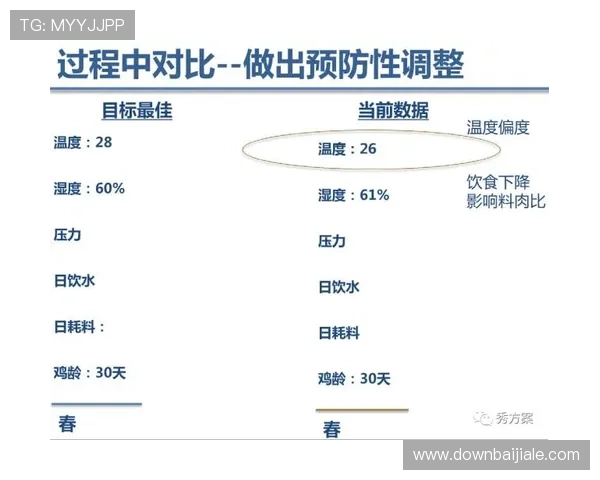 bb视讯快速厅常见问题解答,解决玩家在使用过程中遇到的登录与流畅度难题